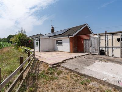 Picture 28